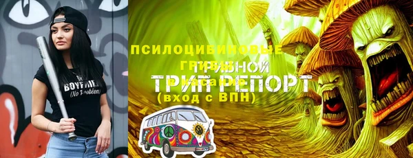 мет Абаза