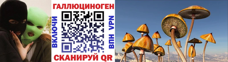 сайты даркнета какой сайт Ковдор Галлюциногенные грибы MAGIC MUSHROOMS