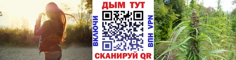 как найти наркотики  Ковдор  Бошки Шишки планчик 
